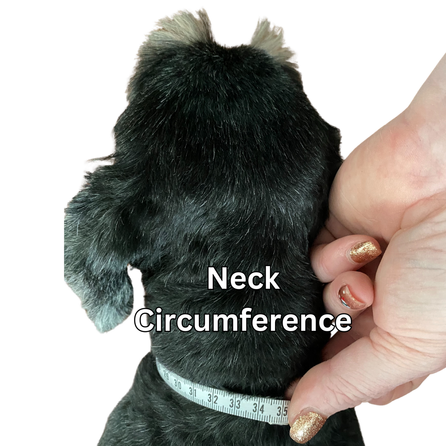 Silky Adjustable Business Tie | Dogs and Cats | Rainbow Stripe