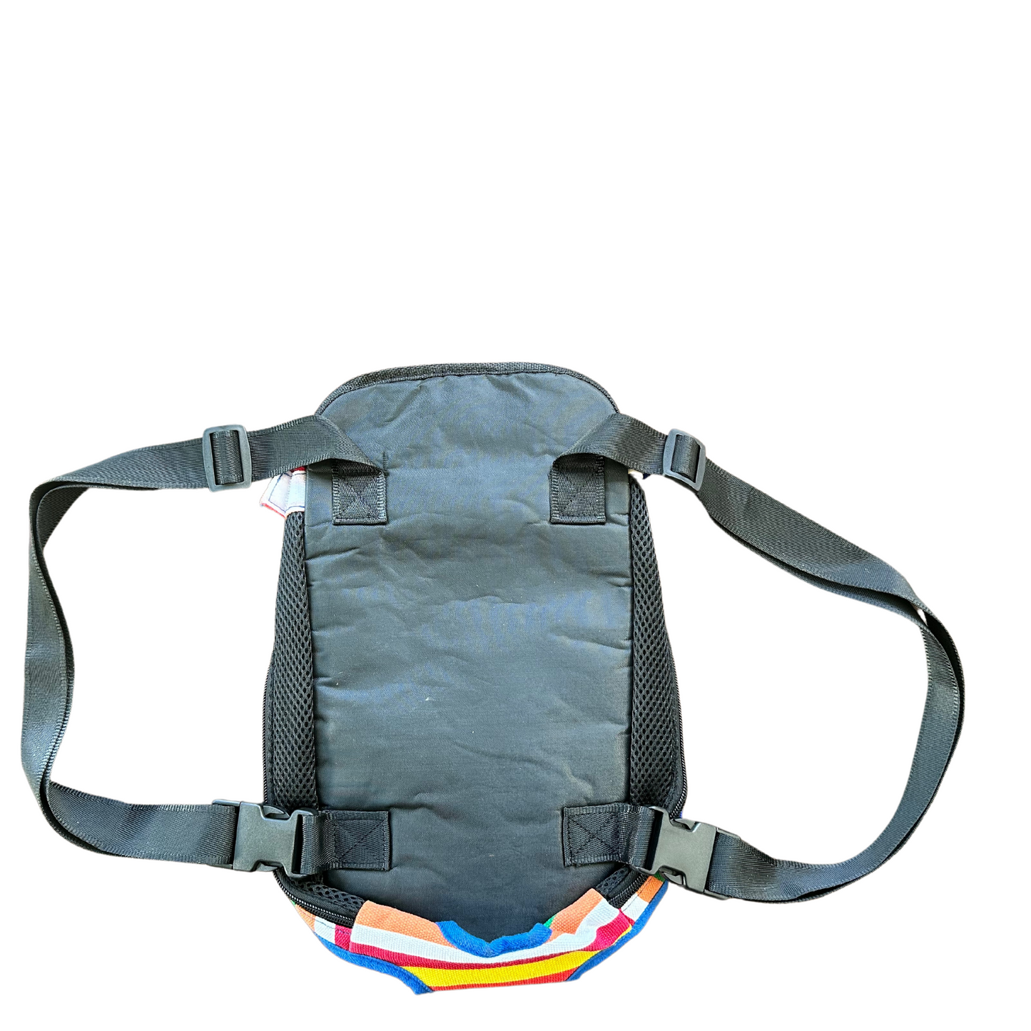Backpack Carrier | Small Dogs & Cats | Rainbow