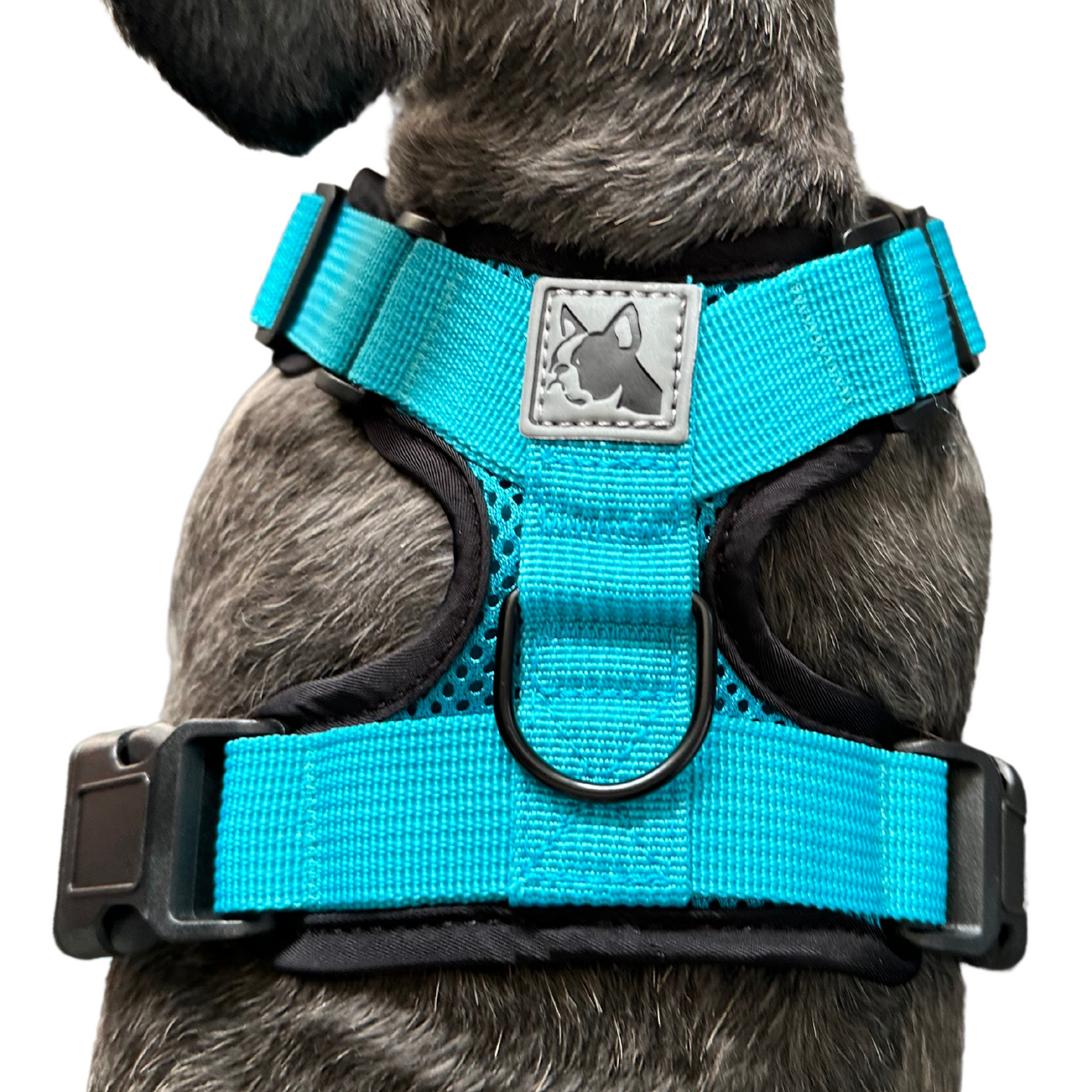 The OG Soft Quick Dry Harness | Dogs and Cats | Pale Pink