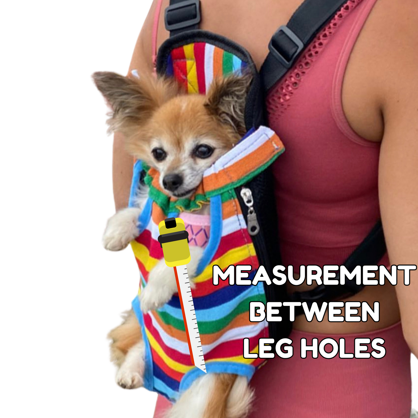 Backpack Carrier | Small Dogs & Cats | Rainbow
