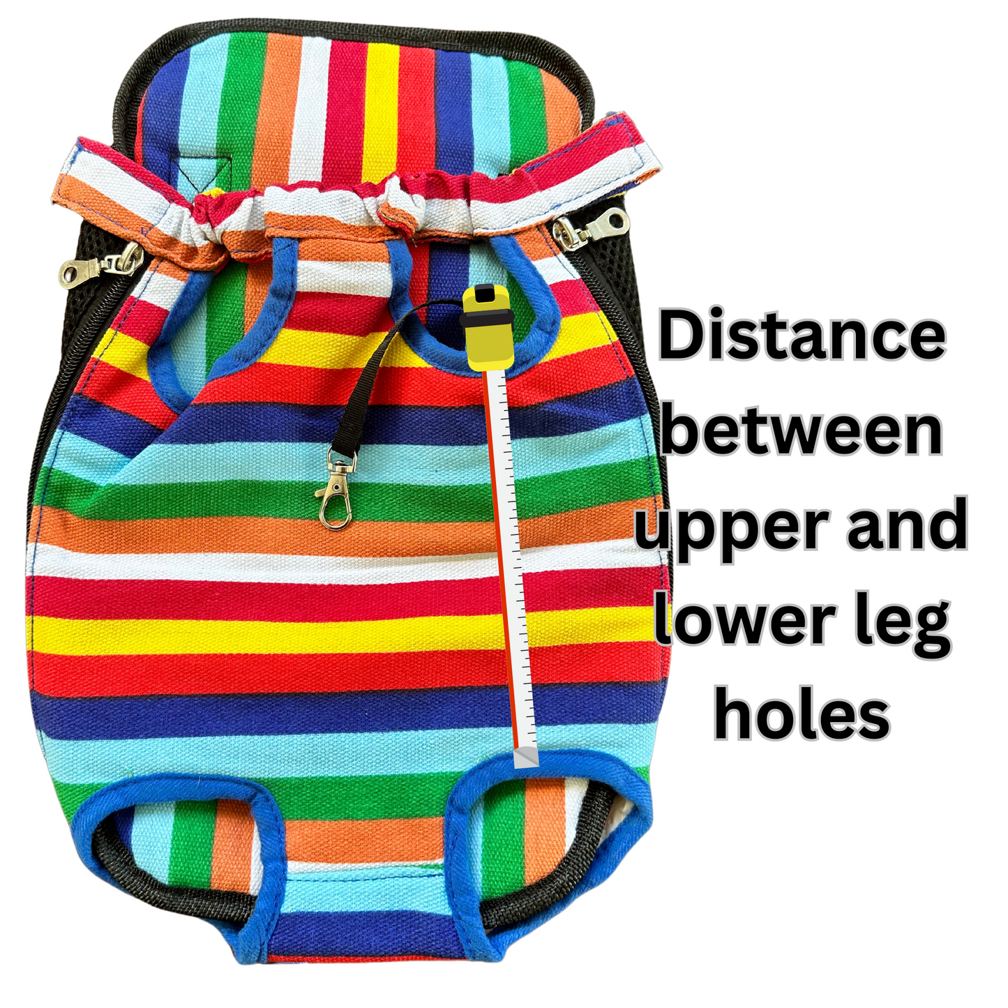 Backpack Carrier | Small Dogs & Cats | Rainbow