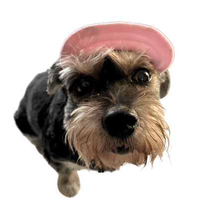 Bucket Hat | Dogs & Cats | Light Pink Mesh