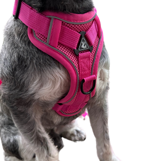 Soft Anti-Pull Harness | Dogs & Cats | Hot Pink