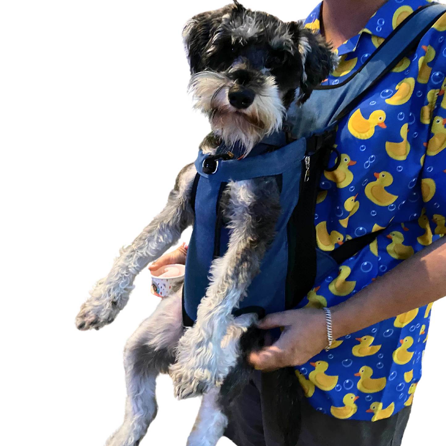 Premium Backpack Carrier | Dogs and Cats | Flamingo