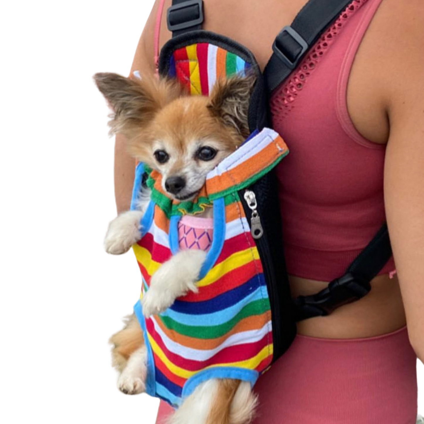 Backpack Carrier | Small  Dogs & Cats | Rainbow