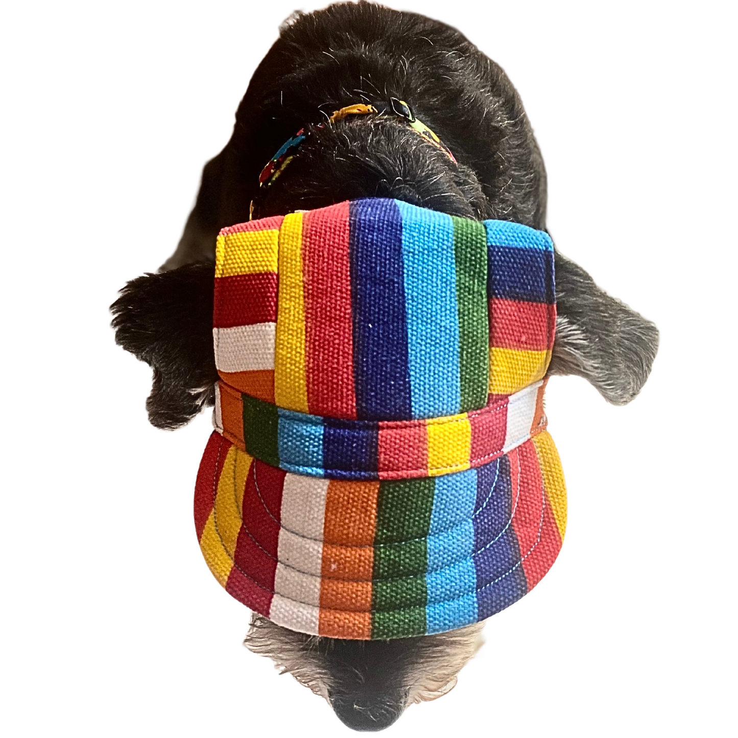 Baseball Cap | Dogs | Rainbow