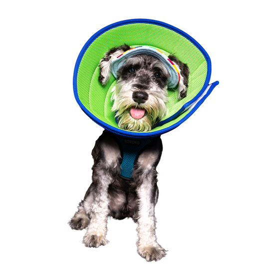 Plush Elizabethan Recovery Cone Collar | Cone of less shame | Blue Green