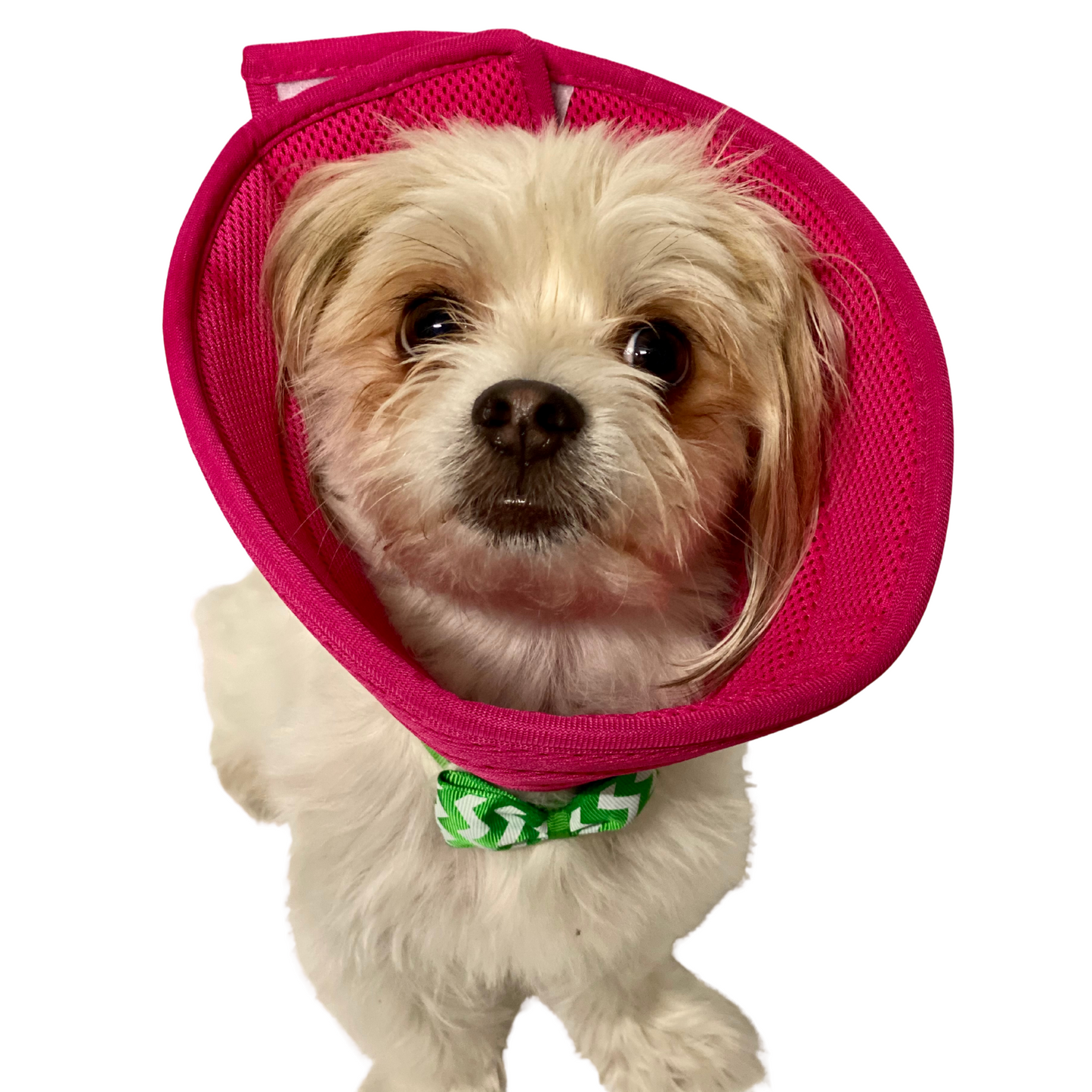 Plush Elizabethan Recovery Cone Collar | Cone of less shame | Hot Pink