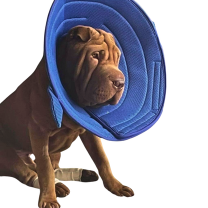 Plush Elizabethan Recovery Cone Collar | Cone of less shame | Shark