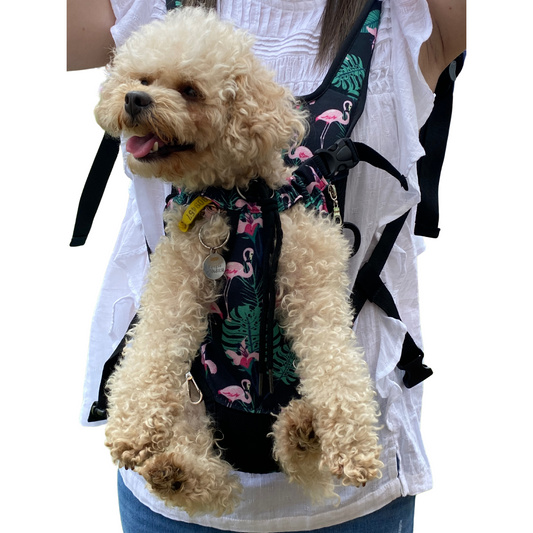 Premium Backpack Carrier | Dogs and Cats | Flamingo