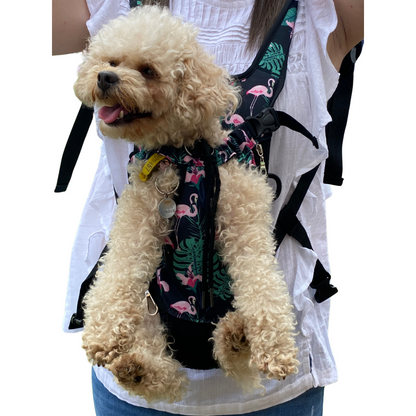 Premium Backpack Carrier | Dogs and Cats | Flamingo