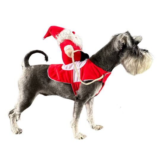 Santa Riding Pet Costume | Dogs & Cats