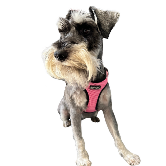 THE OG SOFT QUICK DRY HARNESS | Dogs & Cats | PALE PINK