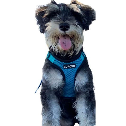 THE OG SOFT QUICK DRY HARNESS | Dogs & Cats | TEAL