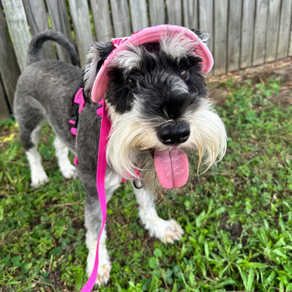 Bucket Hat | Dogs & Cats | Dark Purple Mesh