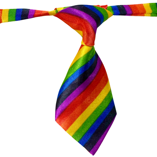 Silky Adjustable Business Tie  | Dogs and Cats | Rainbow Stripe
