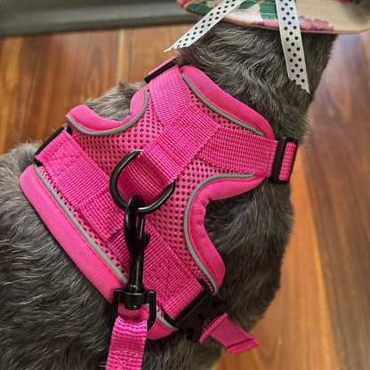 Soft Anti-Pull Harness  | Dogs & Cats | Teal