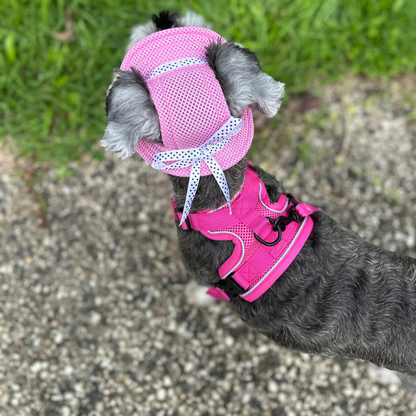 Bucket Hat | Dogs & Cats | Light Pink Mesh