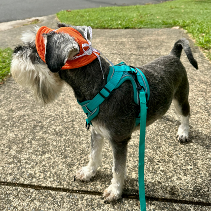 Bucket Hat | Dogs & Cats | Orange Mesh