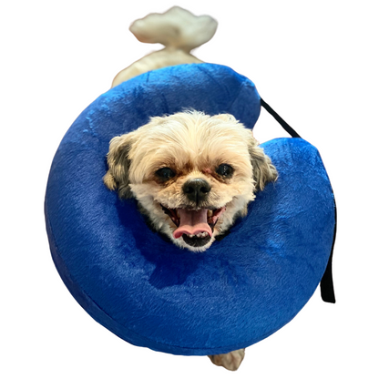Inflatable Doughnut Recovery Collar | Dogs & Cats | Blue