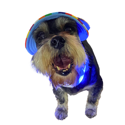 LED Night Collar | Dogs | 5 Colours Adjustable & Rechargeable