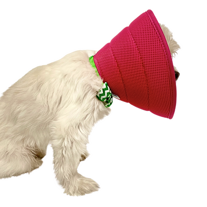 Plush Elizabethan Recovery Cone Collar | Cone of less shame | Hot Pink