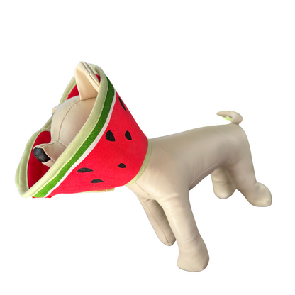 Plush Elizabethan Recovery Cone Collar | Cats and Toy Dogs | Watermelon