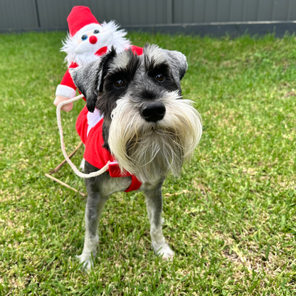 Santa Riding Pet Costume | Dogs & Cats