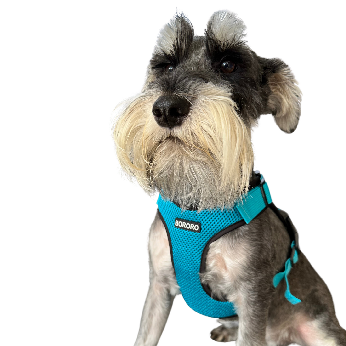 The OG Soft Quick Dry Harness | Dogs and Cats | Teal