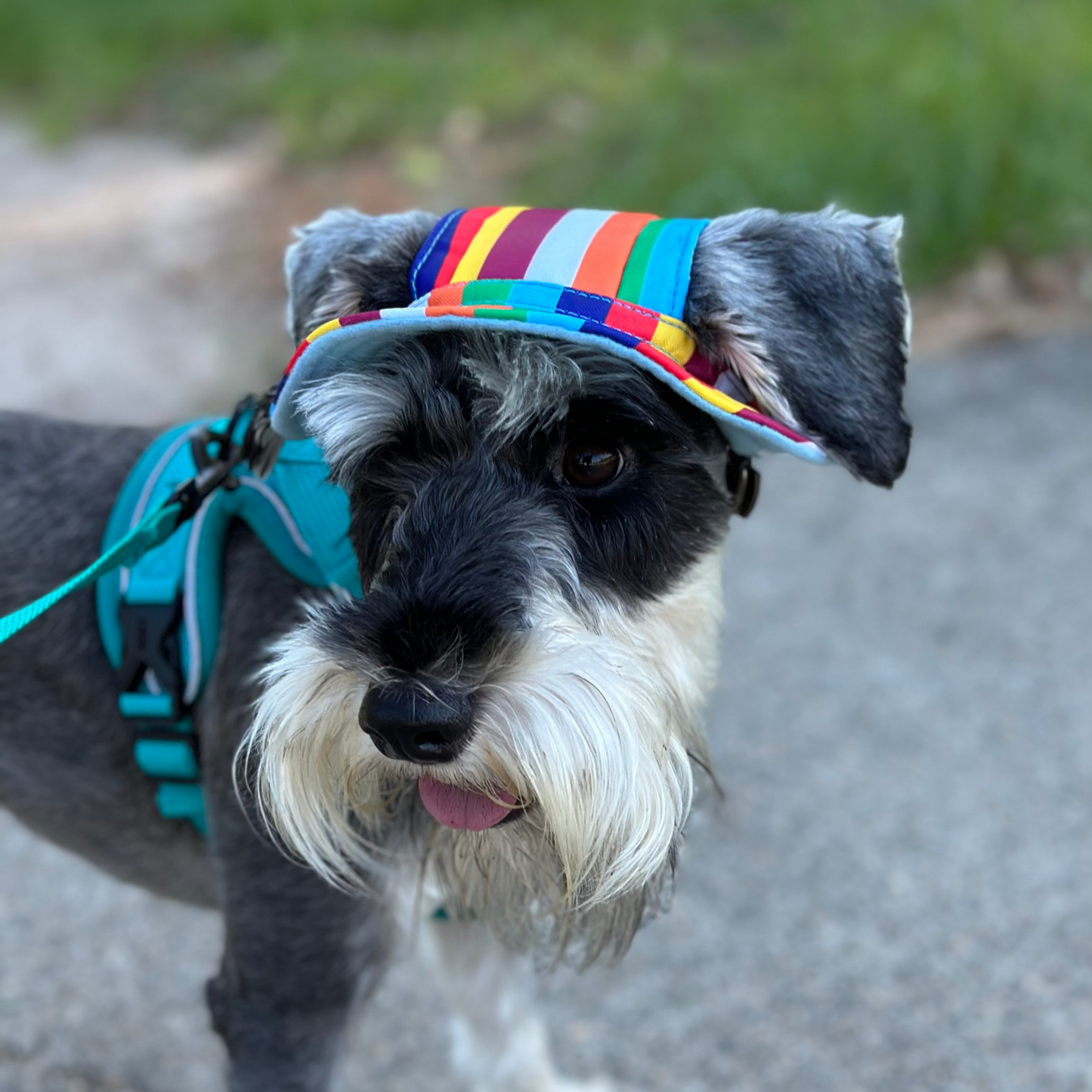 Bucket Hat | Dogs & Cats | Light Pink Mesh