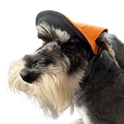 Baseball Cap | Dogs | Orange