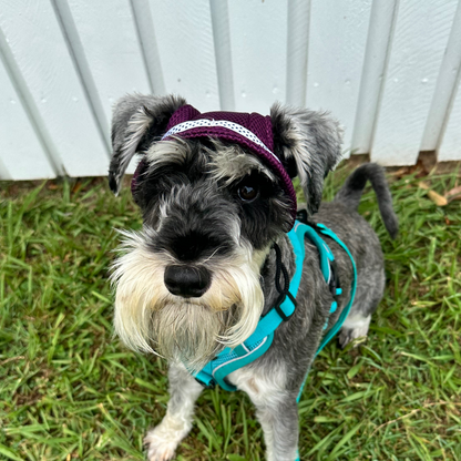 Bucket Hat | Dogs & Cats | Dark Purple Mesh