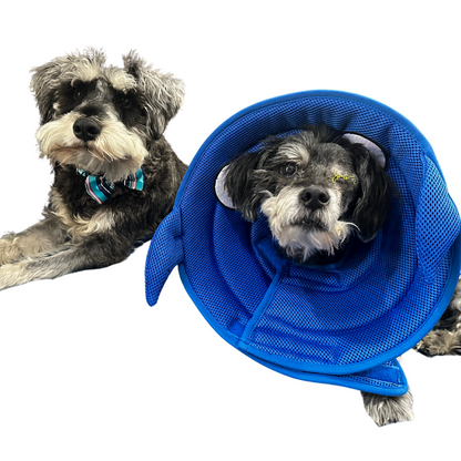 Plush Elizabethan Recovery Cone Collar | Cone of less shame | Shark