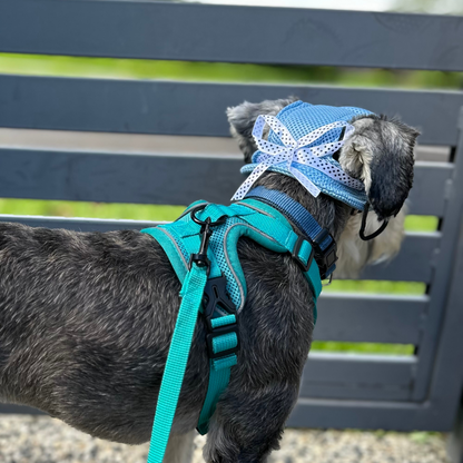 Soft Anti-Pull Harness  | Dogs & Cats | Teal
