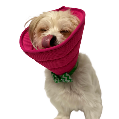 Plush Elizabethan Recovery Cone Collar | Cone of less shame | Hot Pink