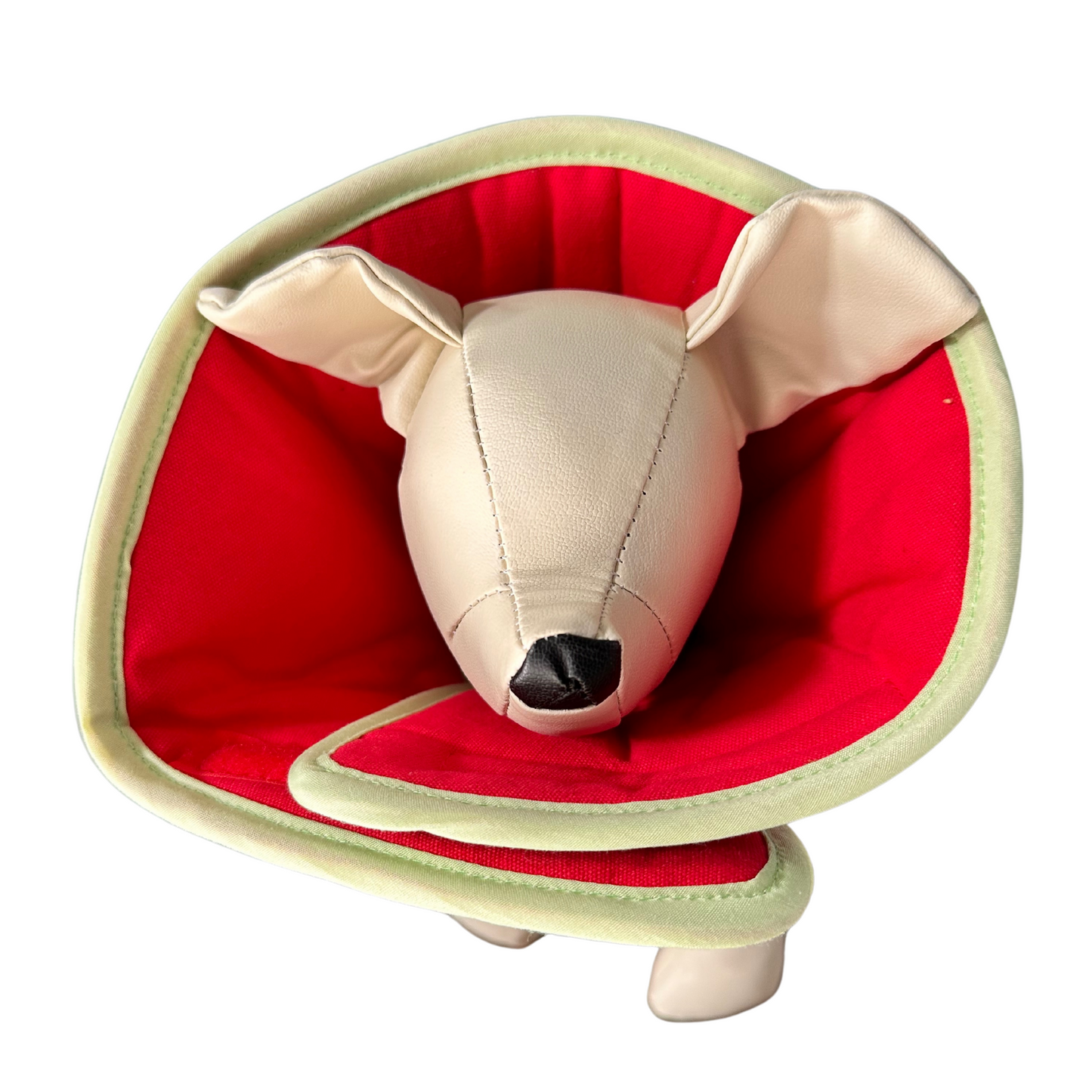 Plush Elizabethan Recovery Cone Collar | Cats and Toy Dogs | Watermelon
