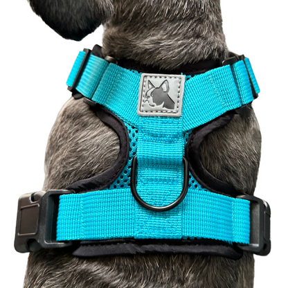 The OG Soft Quick Dry Harness | Dogs and Cats | Teal