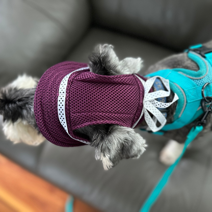 Bucket Hat | Dogs & Cats | Dark Purple Mesh