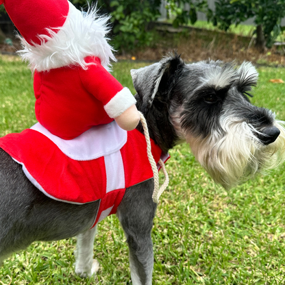 Santa Riding Pet Costume | Dogs & Cats