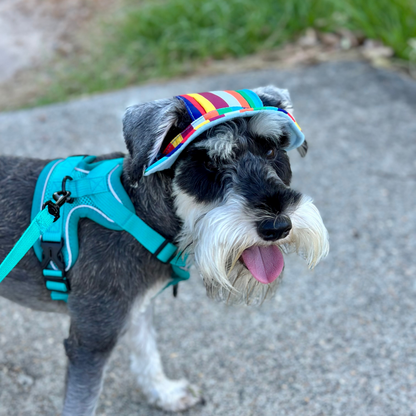 Bucket Hat | Dogs & Cats | Light Pink Mesh