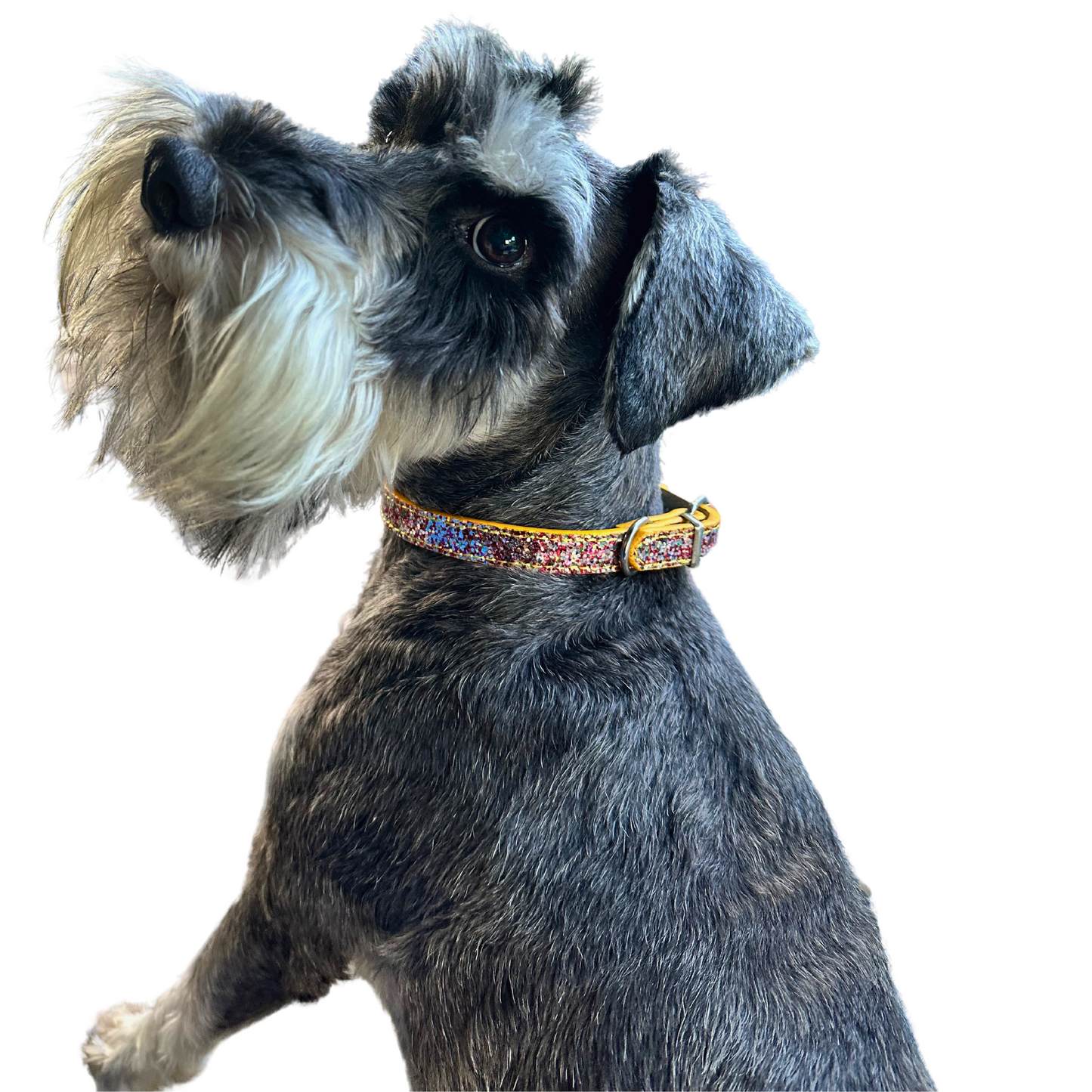 Sparkle Glitter Collar | Dogs & Cats | Faux Leather