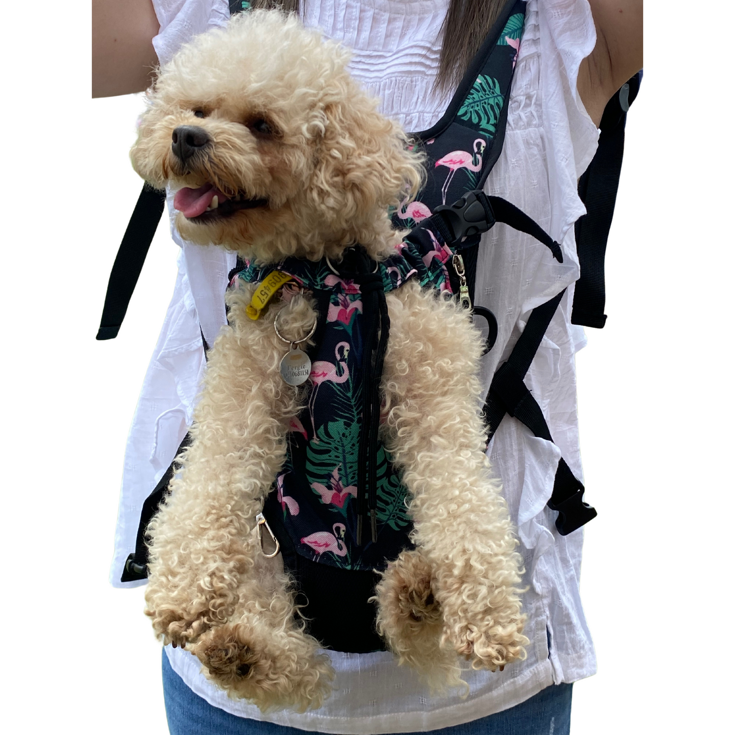 Premium Backpack Carrier | Dogs and Cats | Denim