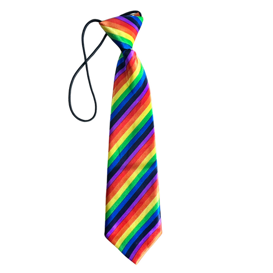 Silky Elastic Business Tie  | Large Dogs | Rainbow Stripes