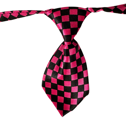 Silky Adjustable Business Tie  | Dogs and Cats | Rainbow Stripe