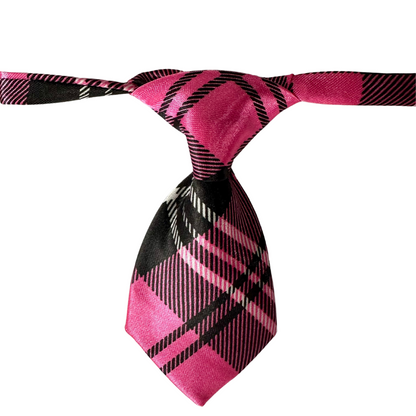 Silky Adjustable Business Tie  | Dogs and Cats | Rainbow Stripe