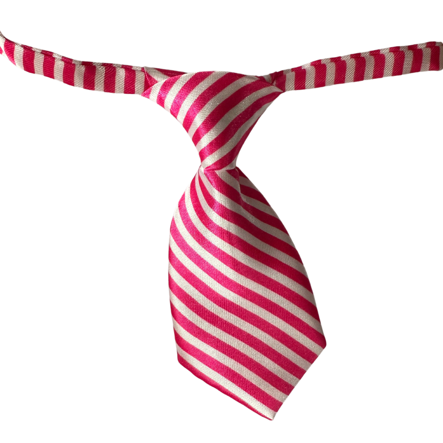 Silky Adjustable Business Tie  | Dogs and Cats | Rainbow Stripe