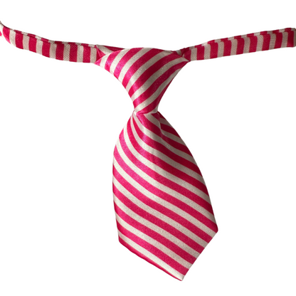 Silky Adjustable Business Tie | Dogs and Cats | Hot Pink