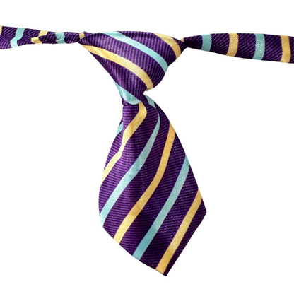 Silky Adjustable Business Tie  | Dogs and Cats | Rainbow Stripe