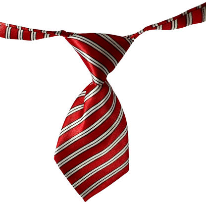 Silky Adjustable Business Tie | Dogs and Cats | Red Blue White Stripes